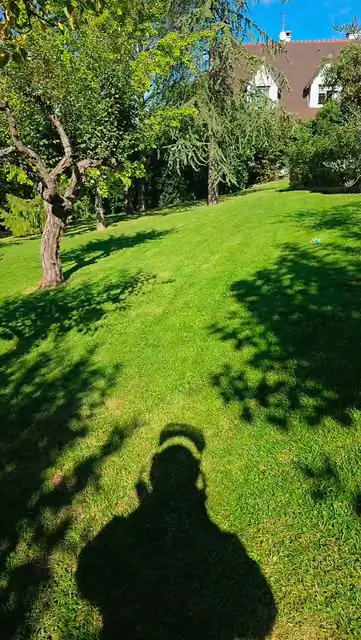 Pelouse arborée entretenue par Côté Paysage près de Gentilly